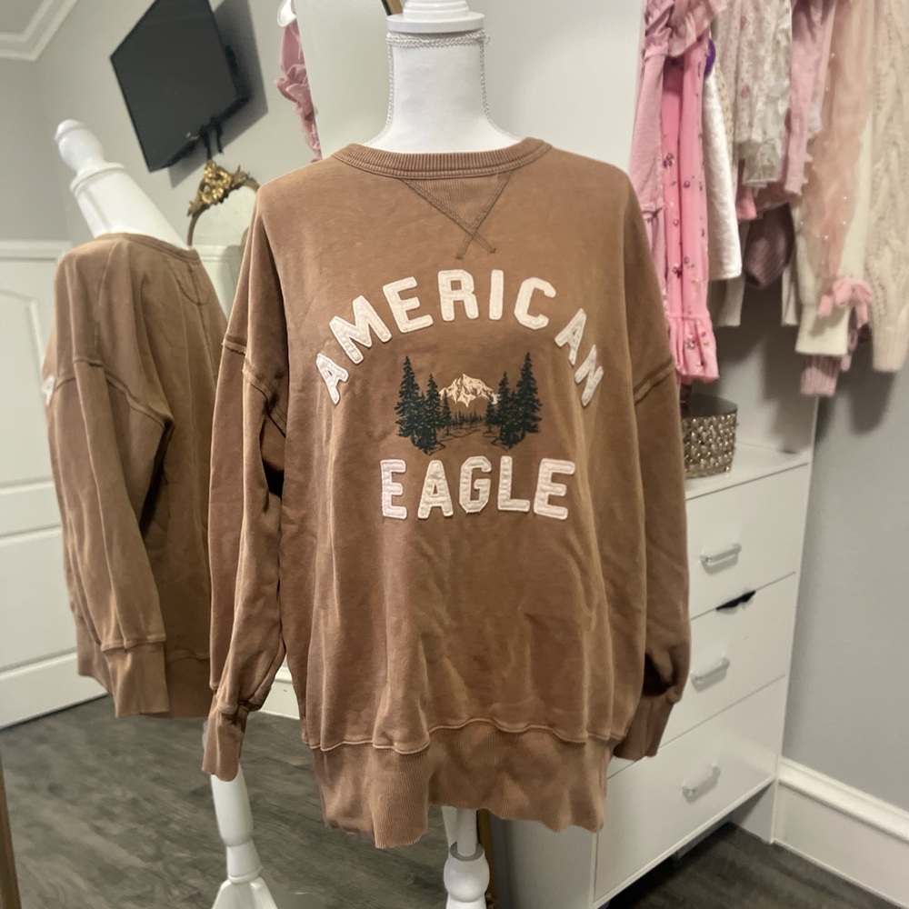 American Eagle Outfitters Brown Crewneck Sweater